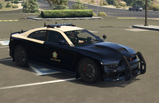 SAHP Livery V2 for Jakers Police STX X